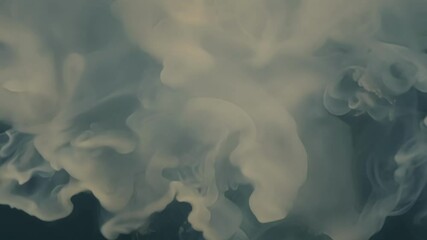 Poster - Billowing white smoke swirls against a dark backdrop, creating abstract shapes with a touch of danger and intrigue