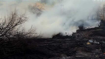 Poster - Smoke billows from burning rubbish, causing destruction and environmental damage, with charred trees in the foreground