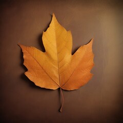 Fototapete - A vibrant autumn leaf, with its characteristic orange and yellow hues, is centered against a dark brown background