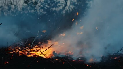 Poster - Intense orange flames engulf a forest in smoke and heat during a devastating wildfire. Leaving destruction and ash in its wake. Posing a danger to the environment and wildlife