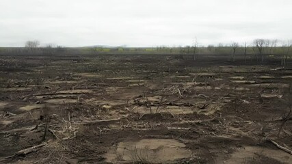Poster - Burned remains of trees and brush are covering a large area of land after a wildfire swept through, leaving a desolate and charred landscape