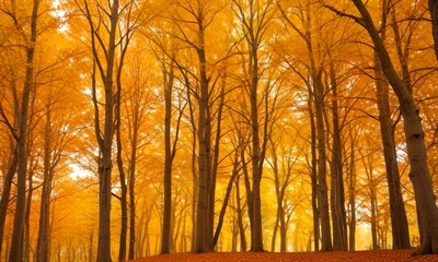 Poster - A serene autumn scene unfolds in a forest, with tall trees adorned in vibrant orange leaves, casting a warm glow on the ground below