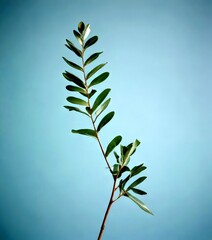 Aufkleber - A single branch with green leaves stands against a light blue background