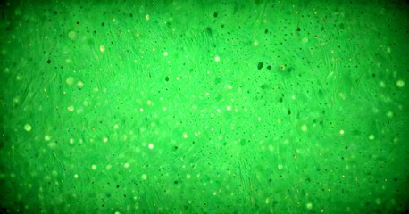 Fototapete - a close-up view green, textured surface with small white dots scattered across it, resembling a speckled or speckled pattern