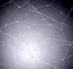 Poster - A close-up view spider web, with water droplets clinging to the intricate network of thin strands