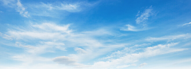 Wall Mural - the sky is blue and clear with no clouds