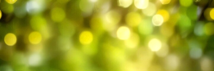 Poster - a blurred, bokeh-like effect with a mix of green and yellow colors, creating a soft, dreamy atmosphere