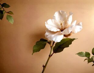 Poster - A single white hibiscus flower with a yellow center and green leaves is the focal point of the , set against a beige background