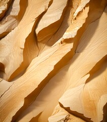 Poster - a close-up view rock formation with a textured, light brown surface The rock appears to be made of sandstone or a similar type of sedimentary rock, with visible layers