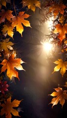 Poster - A serene autumn scene with vibrant orange and yellow maple leaves framing a soft, warm glow from the sun peeking through the trees
