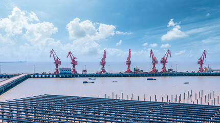Fototapete - Industrial cranes and solar panels at seaside