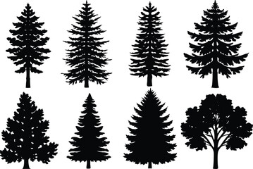 Silhouettes of different kind of Tamarack trees stock illustration.