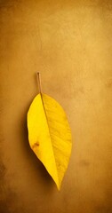 Poster - A single yellow leaf with brown spots rests against a textured brown background