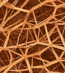 Poster - a close-up view complex network of thin, intersecting wooden or straw-like strands, creating a textured and intricate pattern