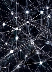 Leinwandbilder - a close-up view network of interconnected white dots or points, resembling a web or a network of nerves, against a dark background