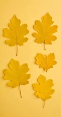 Fototapete - Six yellow maple leaves are arranged in a grid-like pattern on a yellow background