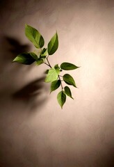 Poster - A single green leaf with a small stem is positioned diagonally across a gray background, casting a shadow on the right side