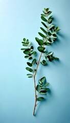 Poster - A branch with green leaves is displayed against a light blue background