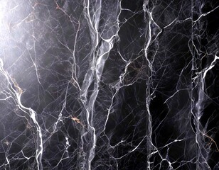 Poster - a close-up view black marble surface with a distinctive pattern of white veins and cracks