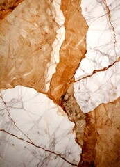 Poster - a close-up view marble surface with a textured and cracked appearance, featuring a mix of light and dark brown hues