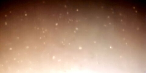 Poster - a blurred, hazy background with small, indistinct white dots or specks scattered across it, creating a sense of movement and randomness