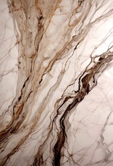 Poster - a close-up view marble surface with a swirling pattern of light and dark gray marble