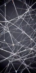 Leinwandbilder - a close-up view complex network of white, thin, and transparent lines and strands, creating a visually striking abstract pattern against a dark background