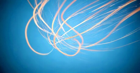 Leinwandbilder - a close-up view jellyfish's tentacles, with a blue background The tentacles are arranged in a swirling pattern, creating a sense of movement and fluidity