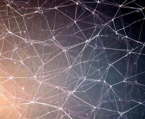 Fototapete - a close-up view spider web, with numerous interconnected strands forming a complex network The web has a dark background, and taken from a slightly