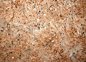 Poster - a close-up view textured surface, possibly a stone or concrete material, with a mix of small, irregularly shaped dots in various shades of beige, light brown, and gray