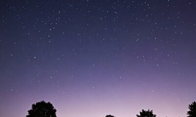Poster - A starry night sky with a gradient of purple and blue hues, featuring numerous stars and silhouettes of trees in the foreground