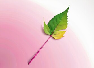 Aufkleber - A vibrant leaf with a mix of green and yellow hues rests on a pink and white gradient background