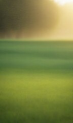 Aufkleber - A serene landscape with a field of green grass and a warm, hazy background, captured in a soft, blurred effect