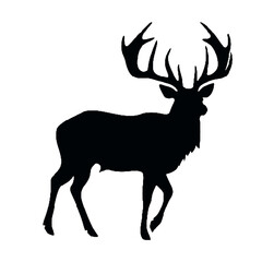  Stag Head silhouette vector illustration - Transparent Background