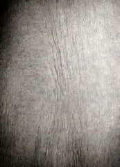 Poster - a close-up view textured gray surface, possibly a wooden or metal panel, with a rough, uneven appearance