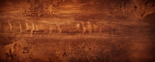 Poster - a close-up view of a textured surface with a reddish-brown hue, featuring a pattern of small lines and spots.
