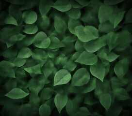 Poster - A dense, dark green background filled with overlapping leaves, creating a textured and natural appearance