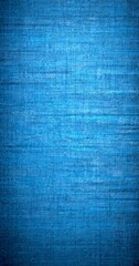 Poster - a textured blue background with a subtle grid pattern, creating a visually appealing and uniform appearance