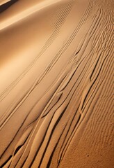 Aufkleber - a close-up view sandy surface with distinct ridges and grooves, captured from a high angle