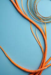 Aufkleber - A collection of orange carrot sticks arranged in a curved line against a blue background, with a circular pattern of orange and brown lines in the top right corner