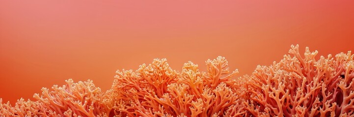 Fototapete - A vibrant coral reef, with its intricate and diverse structures, is set against a gradient background transitioning from a deep red at the top to a lighter orange at the bottom
