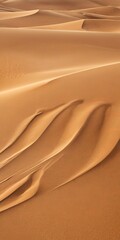 Poster - a close-up view vast expanse of sand dunes in the desert, with the undulating sand creating a mesmerizing pattern of undulating lines and curves