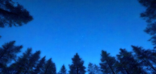 Aufkleber - A starry night sky with a silhouetted forest of trees in the foreground.