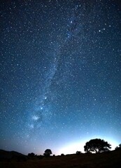 Aufkleber - A starry night sky with the Milky Way galaxy visible, with silhouettes of trees in the foreground