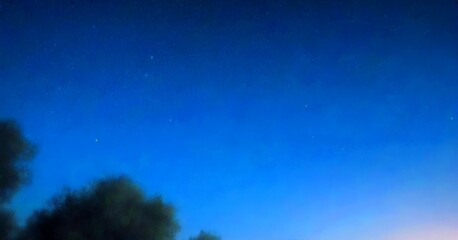 Poster - A night sky with a few distant stars visible, with a silhouette of trees in the foreground