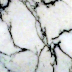Poster - Marble surface with visible veins and cracks, appearing to be a light gray color
