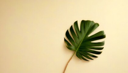 Poster - A large green leaf with serrated edges is displayed against a light beige background