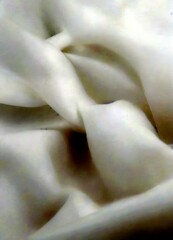 Fototapete - Abstract white background with a subtle texture