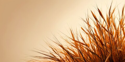 Aufkleber - A close-up view of tall grass with a warm, golden hue against a light beige background