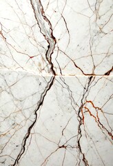 Poster - a close-up view marble surface with a striking pattern of white and brown marble veins